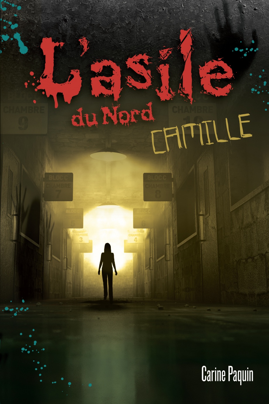 Asile du Nord - Camille - Carine Paquin